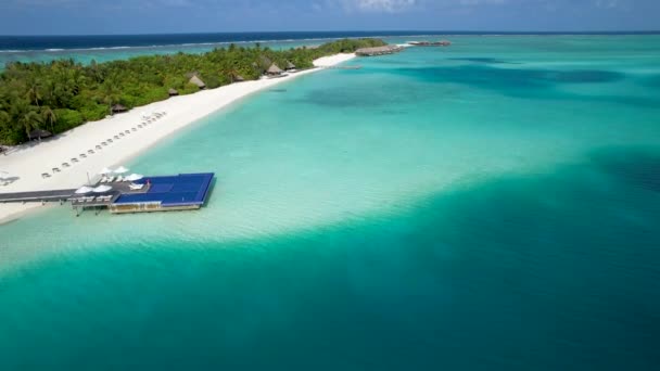 プールラウンジチェア付きのモルディブの島のビーチの空中ビュー浅い澄んだ青い水によるヤシの木バンガロー — ストック動画