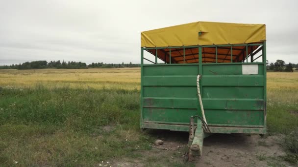 Plan Moyen Champ Jaune Avec Une Remorque Verte Jaune Premier — Video