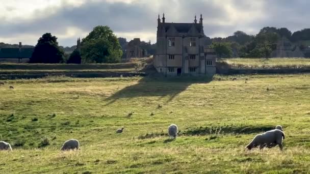 Cotswolds Chipping Campden的宴会厅和羊 — 图库视频影像