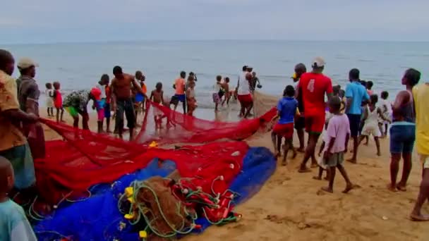 Residents Island Sao Tome Drag Fishing Net Catch Sea Beach — Stock Video