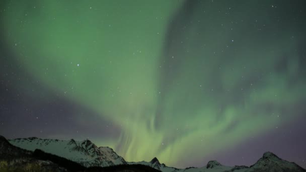 Aurora Borealis Beweegt Zich Door Nacht Lucht Noord Noorwegen — Stockvideo