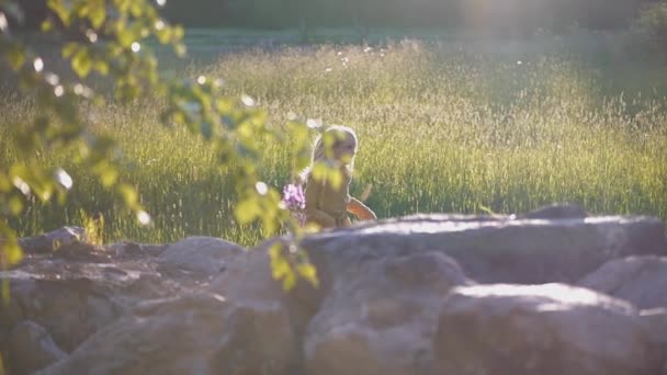 快乐微笑的女孩在旧石墙后面穿越夏天的田野 慢动作 无忧无虑的童年概念 — 图库视频影像