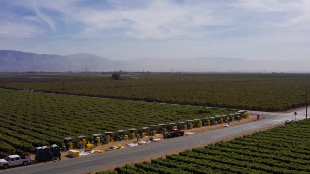 Kaliforniya Merkez Vadisi Ndeki Yol Kenarındaki Meyve Hasadını Işlerken Çekilen — Stok video