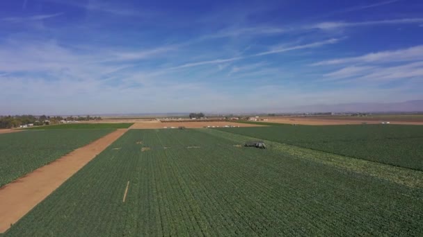 Stigande Och Panorering Flygfoto Fältarbetare Jordbruksmarken Kaliforniens Central Valley — Stockvideo