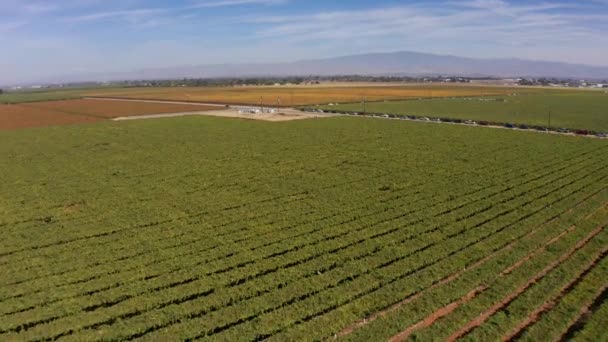 Disparo Descendente Aéreo Volando Rápido Sobre Tierras Cultivo Valle Central — Vídeo de stock