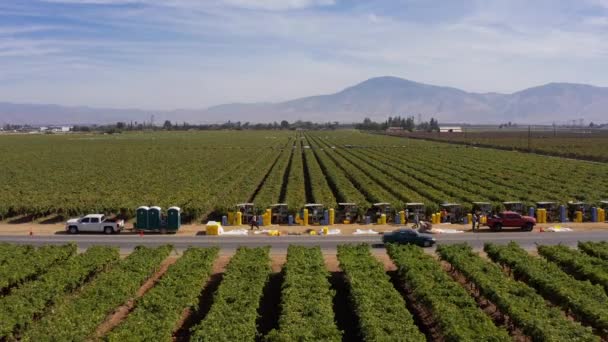 Reverse Pullback Wide Aerial Shot Fruit Pickers Working Side Road — Stock Video