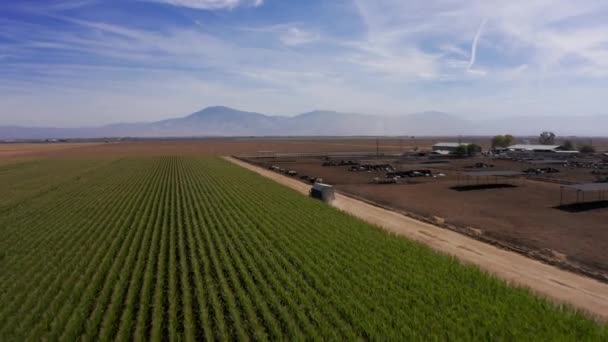 Aerial Close Shot Truck Drives Dirt Road Food Farm Cattle — Stock Video