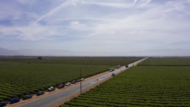 カリフォルニアのセントラルバレーの農地で道路脇の収穫物を処理するフルーツピッカーの広い押し込み式空中ショット — ストック動画