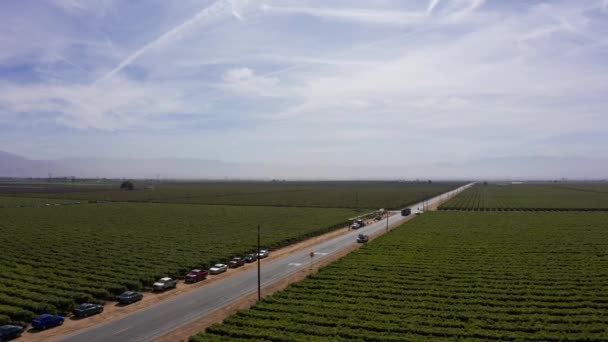 Gros Plan Aérien Cueilleurs Fruits Transformant Récolte Sur Bord Route — Video