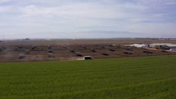 カリフォルニアのセントラルバレーにある牛のいる食料農場で未舗装の道路を走行するトラックの空中広いパンニングショット — ストック動画