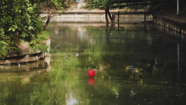 Statický Záběr Ztraceného Červeného Balónu Plovoucího Špinavém Zeleném Jezírku Zpomalený — Stock video