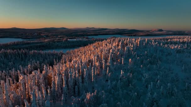 Vista Aérea Alrededor Del Bosque Cubierto Nieve Iluminado Por Sol — Vídeos de Stock