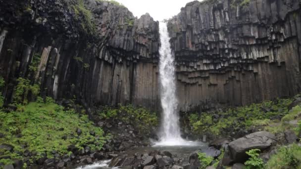 Svartifoss Falls Στην Ισλανδία Μέτρια Εικόνα Που Είναι Σταθερή — Αρχείο Βίντεο