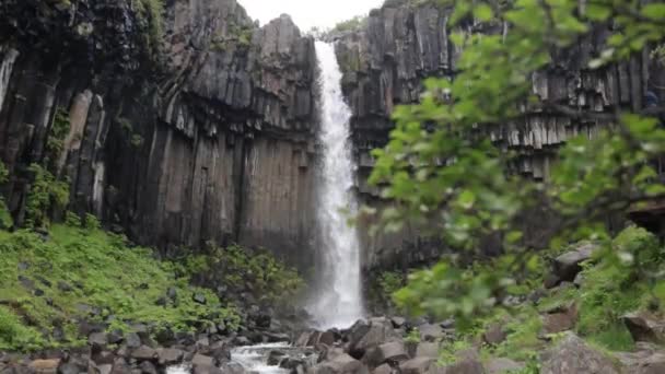 Svartifoss Watervallen Ijsland Met Gimbal Video Stal Met Tak — Stockvideo