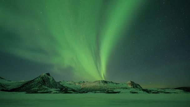 Belle Aurore Boreali Che Attraversano Montagne Nel Nord Della Norvegia — Video Stock