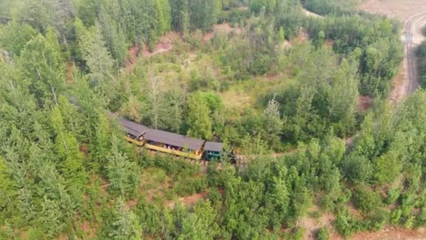 Drone Video Tanana Valley Railroad Fairbanks Sunny Summer Day — Stok Video