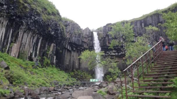 Svartifoss Falls Iceland Wide Shot Including Stairs — Stock Video