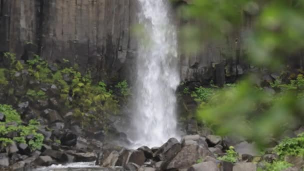 Zlanda Daki Svartifoss Şelalesi Nde Daha Alçak Şelaleler Ağaç Dalları — Stok video