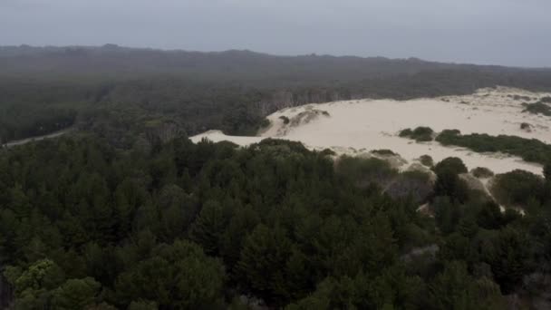 Luftaufnahme Drohne Fliegt Auf Eine Sanddüne Der Westküste Tasmaniens Bei — Stockvideo