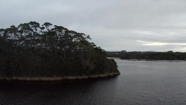 Aérea Drone Levantándose Sobre Árboles Para Revelar Barcos Flotando Lago — Vídeos de Stock