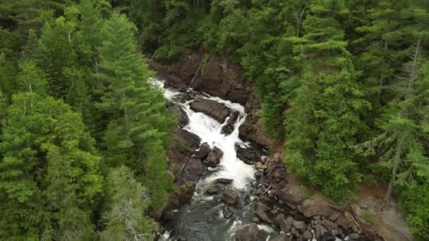 Vista Aérea Água Que Flui Através Uma Floresta Oxtongue Falls — Vídeo de Stock