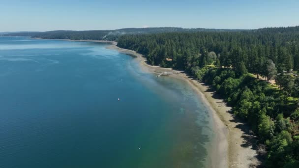 Vista Aérea Costa Holmes Harbor Estado Washington — Vídeo de Stock