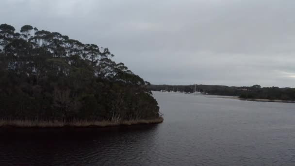 无人驾驶飞机在树上盘旋 发现船只漂浮在澳大利亚塔斯马尼亚Strahan附近的一个湖上 — 图库视频影像
