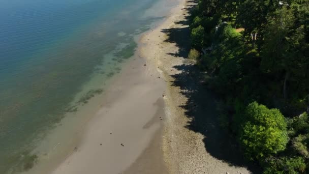 Drone Shot Shoreline Holmes Harbor Whidbey Island — Stock Video