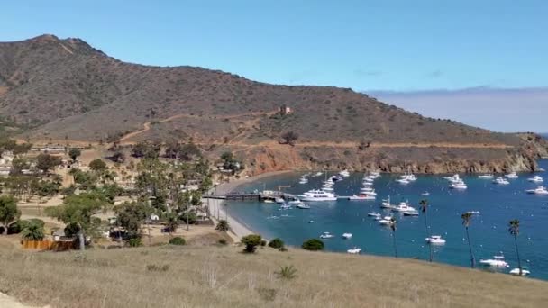 Dois Portos Catalina Island Marina Califórnia Com Doca Barcos Estradas — Vídeo de Stock