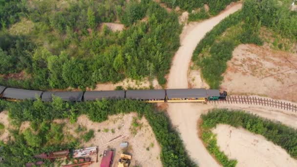Vidéo Drone Tanana Valley Railroad Fairbanks Pendant Journée Ensoleillée Été — Video