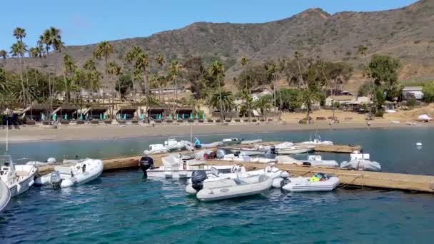 Dos Puertos Marina Catalina Isla California Con Barcos Flotando Puerto — Vídeo de stock