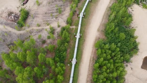 Drone Video Trans Alaska Pipeline Fairbanks Sunny Summer Day — стокове відео