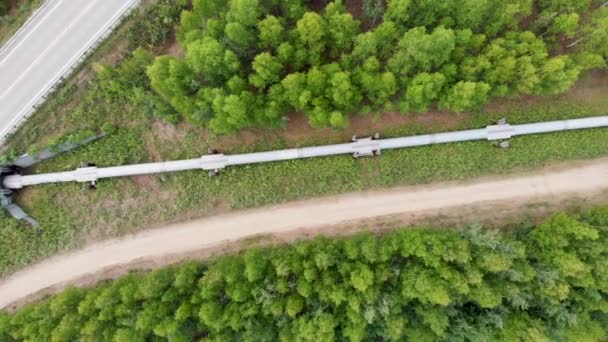Drohnenvideo Der Trans Alaska Pipeline Fairbanks Während Des Sonnigen Sommertages — Stockvideo