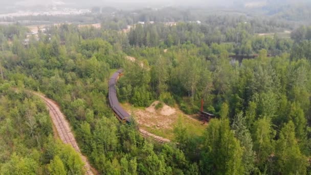 Drone Video Tanana Valley Railroad Fairbanks Durante Soleado Día Verano — Vídeo de stock