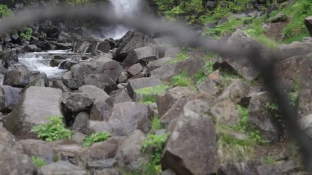 Svartifoss Watervallen Ijsland Kijken Door Takken Kantelen — Stockvideo