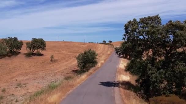 Drona Lotnicza Widokiem Pustą Asfaltową Drogę Łąkami Alentejo Portugalia — Wideo stockowe