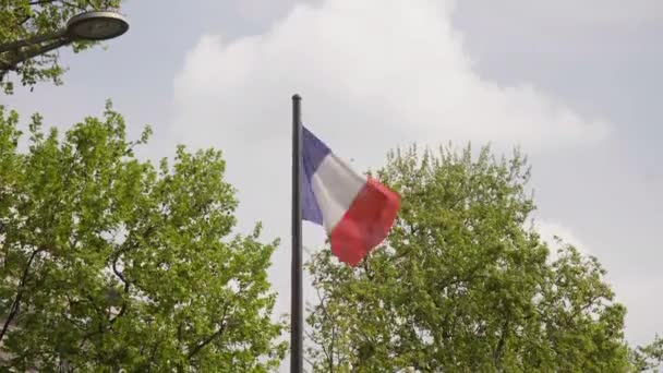 Французский Флаг Перед Зелеными Деревьями Champs Lyses Париж Франция — стоковое видео