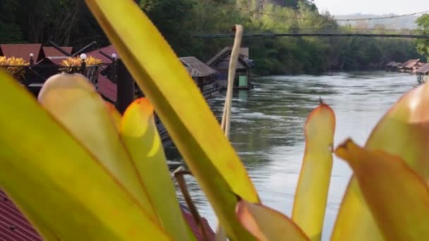 Tayland Ormanında Sai Yok Nehrinin Güzel Bir Görüntüsü — Stok video