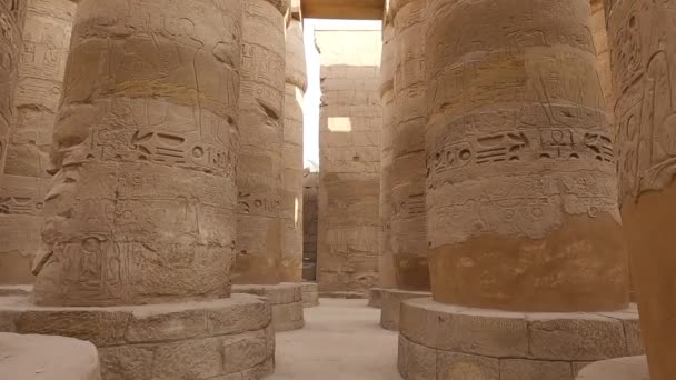 Tournage Ralenti Long Célèbres Colonnes Grès Sculpté Dans Temple Historique — Video