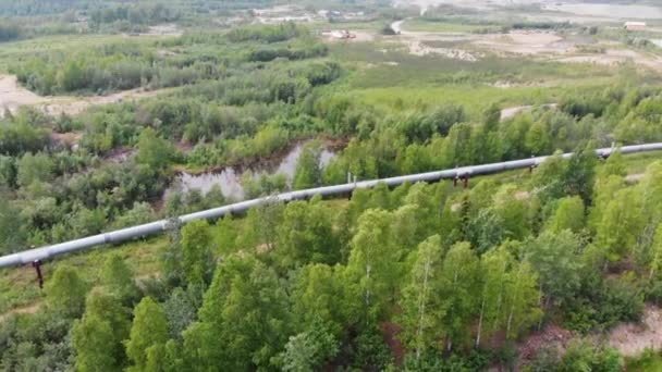 Drone Video Trans Alaska Pipeline Fairbanks Sunny Summer Day — стокове відео