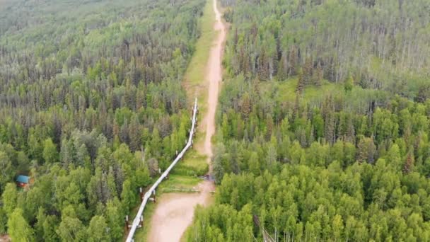 Drohnenvideo Der Trans Alaska Pipeline Fairbanks Während Des Sonnigen Sommertages — Stockvideo