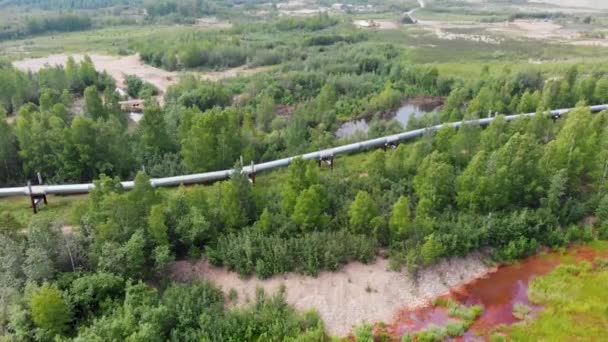 Drone Video Del Oleoducto Trans Alaska Fairbanks Durante Soleado Día — Vídeos de Stock