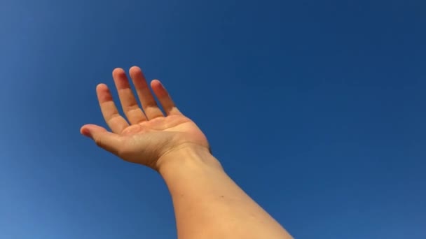 Levanta Mano Mano Cielo Una Mano Destaca Contra Cielo Azul — Vídeos de Stock