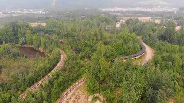 サニー サマー デイ中のフェアバンクスのタナナバレー鉄道の4Kドローンビデオ — ストック動画