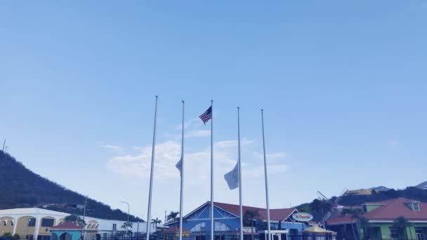 Drapeau Île Vierge Thomas Des États Unis Agitant Drapeau Berne — Video