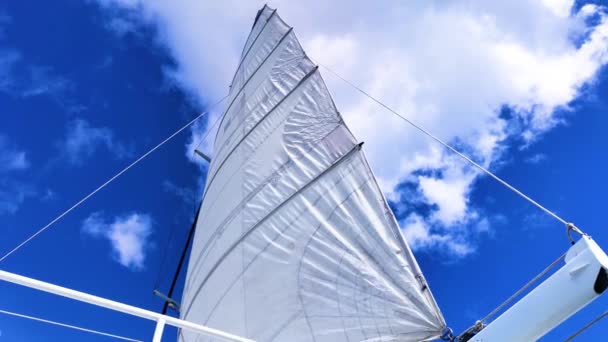 Höja Huvudseglet Segelbåt Med Himlen Rakt Ovanför Masten Perfekt Blå — Stockvideo