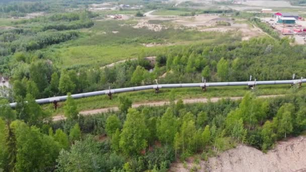 Drone Video Trans Alaska Pipeline Fairbanks Soliga Sommardagen — Stockvideo