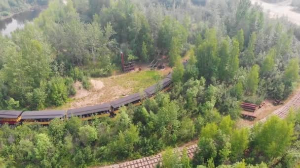 Drone Video Tanana Valley Railroad Fairbanks Aurinkoisena Kesäpäivänä — kuvapankkivideo