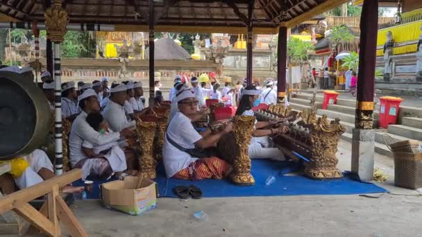 Rituales Hindúes Bali Indonesia Música Gamelana Músicos Durante Ceremonia Templo — Vídeo de stock
