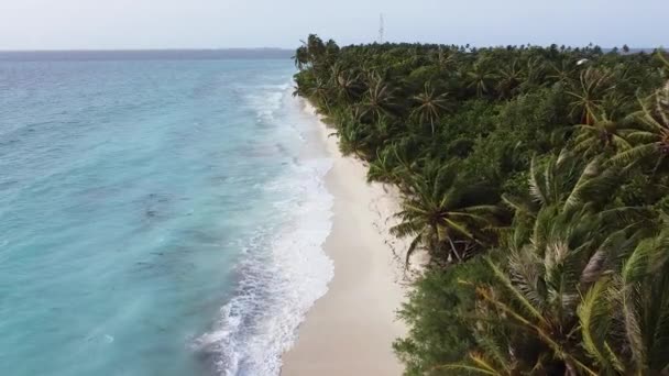 Relaxing Beach Scene Summer Vacation Destination Maldives Drone View — Stock Video